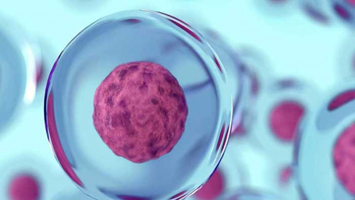 ক্যান্সারের ঝুঁকি যেভাবে প্রতিরোধ করবেন