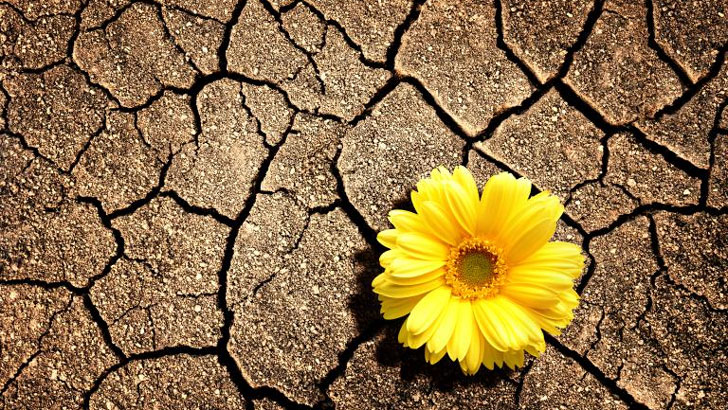 হারাম সম্পর্কে থাকা অবস্থায় ইবাদত ও দোয়া কবুল হবে?