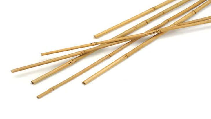 মাথা ন্যাড়া করে বৃদ্ধকে ১০১ দোররা, গলায় জুতার মালা!