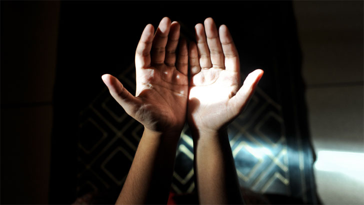 দেহসত্তায় আল্লাহর সাক্ষ্যের বিস্ময়কর আয়োজন