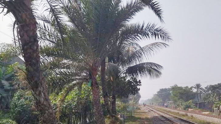 পূবাইলে খেজুরের রস নিয়ে সংঘর্ষ