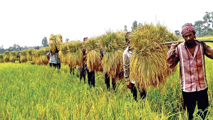 বাংলাদেশে কৃষির রূপান্তর কোন পথে