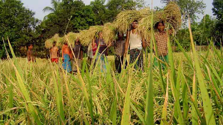 কৃষি নিয়ে কৃষকের প্রত্যাশা