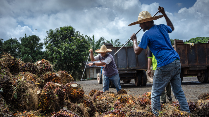 মালয়েশিয়ায় বিদেশি কর্মী নিয়োগের আবেদন শুরু