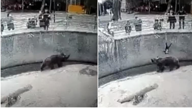 সন্তানকে ভালুকের খাঁচায় ফেলে দিলেন মা! (ভিডিও)