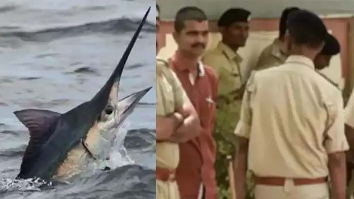 জেলের মৃত্যু, মাছের বিরুদ্ধে মামলা পুলিশের!