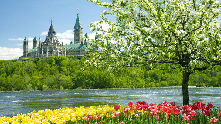 প্রবাসের ভালোবাসা: চিরদিন কেন পাই না