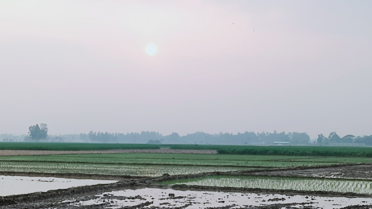 আবহাওয়া শুষ্ক থাকতে পারে