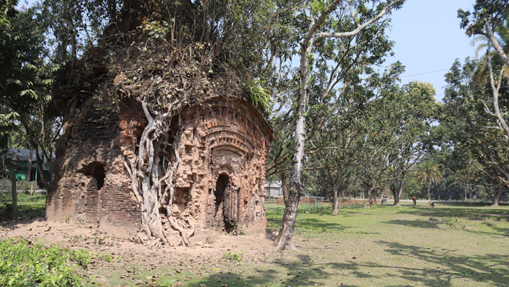 সাহিত্যিক প্রমথ চৌধুরীর পৈতৃক ভিটা এখন গো-চারণ ভূমি!