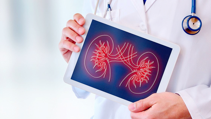 কিডনি রোগের লক্ষণ, প্রতিরোধে কী করবেন?