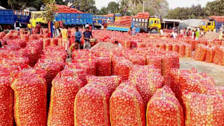 পেঁয়াজের দরপতন, লোকসানে কৃষক