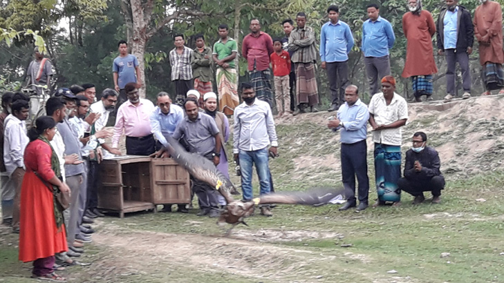 ডানা মেলল ১৯ শকুন