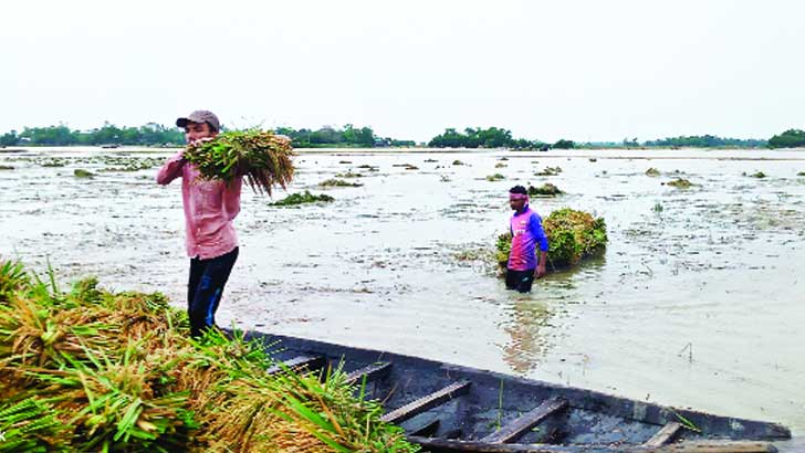 হাওড়াঞ্চলে বন্যা কি এবারও অশুভ সংকেত দিচ্ছে?