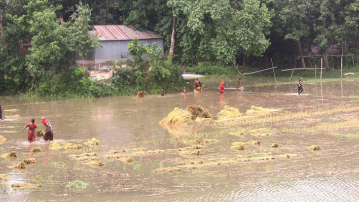 যমুনার পানি বিপৎসীমার উপরে