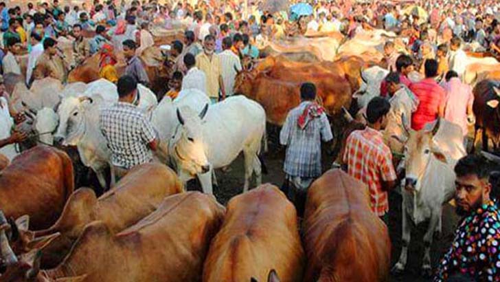 ঈদুল আজহা এনে দেয় বহুমুখী ব্যবসার সুযোগ