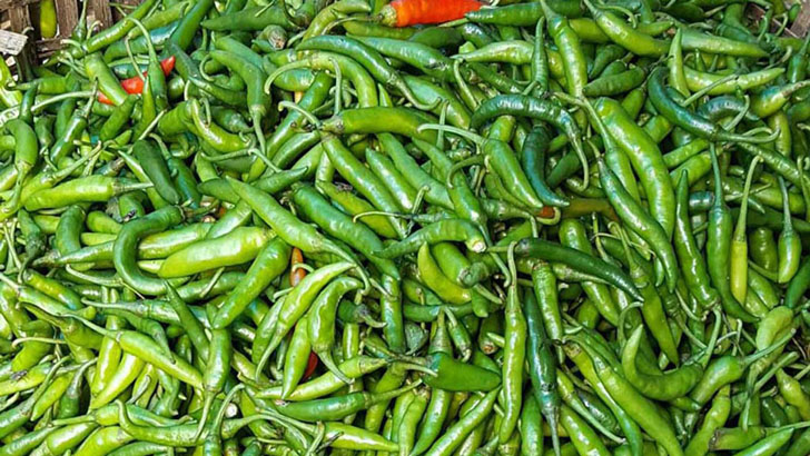 কাঁচামরিচ ২৪০, শুকনো মরিচ ৪৫০ টাকা