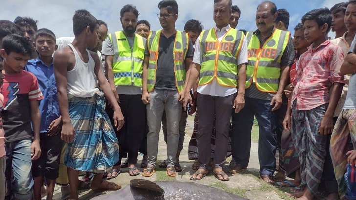 মেঘনায় মিলল মরা ডলফিন