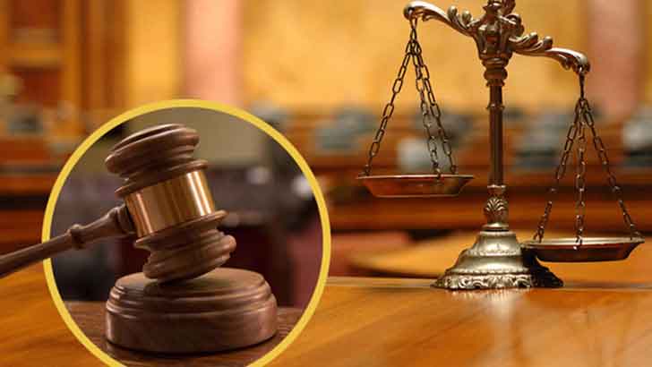 হেনস্তার শিকার তরুণীকে নিয়ে আদালতের মন্তব্য, যা বলল দুই সংগঠন