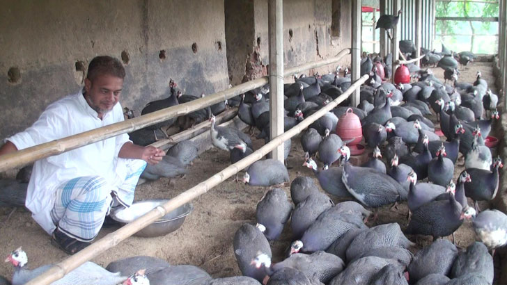 তিতির পালন করে মাসে আয় ৩ লাখ টাকা