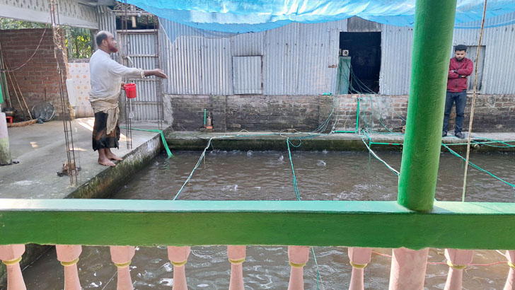 বাড়ির উঠানে মৎস্য চাষ!