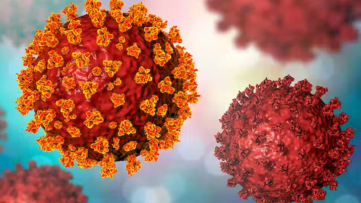 করোনার নতুন ভেরিয়েন্টের জন্য সব বন্দরে সতর্কতা