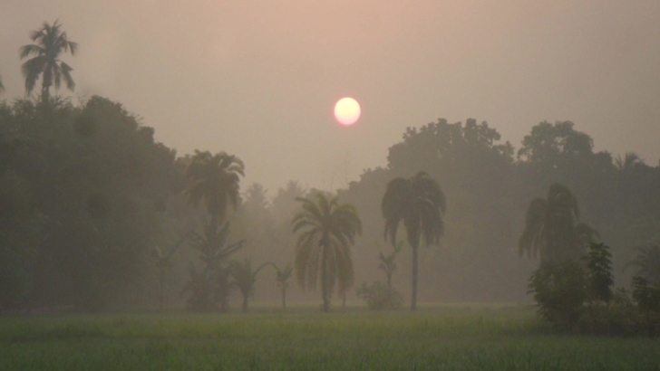 তীব্র শীতে রবিশস্যের ক্ষতির আশঙ্কা