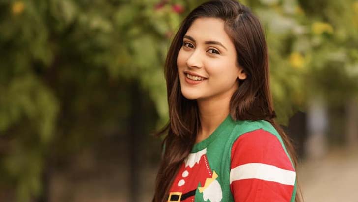 এভাবে আর কতোদিন চুপ থাকব: মেহজাবিন