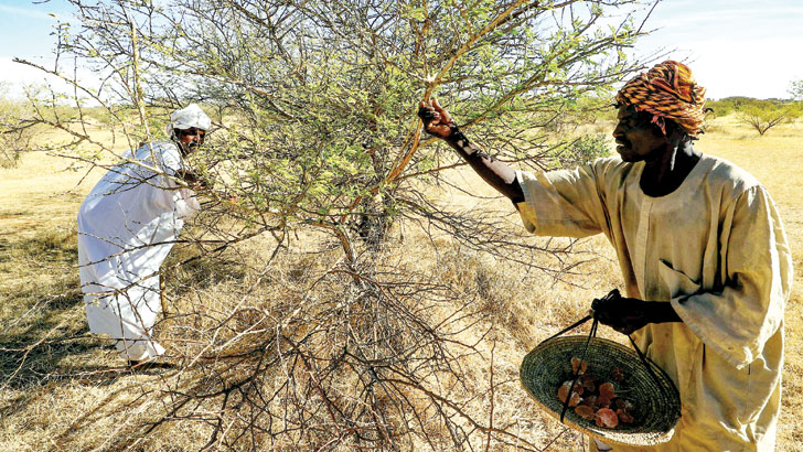 ‘ভূতের খাটুনি খাটার পরও অভাব কাটে না সংসারের’