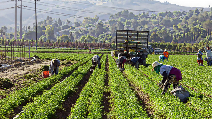 বাংলাদেশিসহ সাড়ে ৮২ হাজার শ্রমিক নেবে ইতালি
