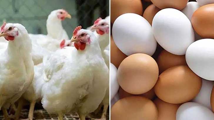 ব্রয়লারের কেজি ২১০ ডিমের হালি ৫০ টাকা