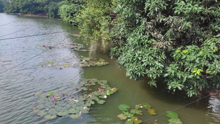 ধানমন্ডির লেকে ভাসল যুবকের অর্ধগলিত লাশ