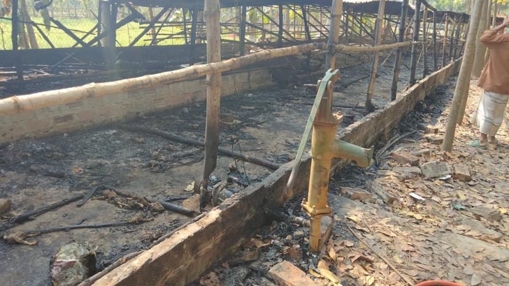 আগুনে পুড়ল ইউপি সদস্যের ১২শ মুরগির বাচ্চা