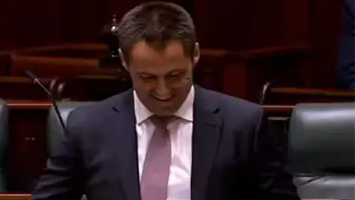 পার্লামেন্টে ভাষণের প্রথম দিনেই সঙ্গিনীকে বিয়ের প্রস্তাব এমপির