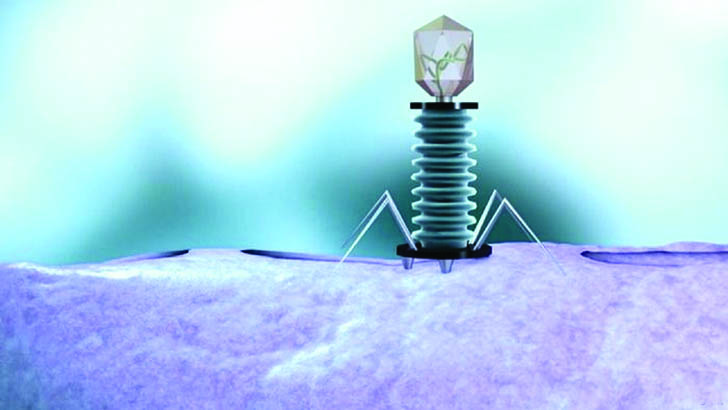 মাম্পস হলে কী করবেন