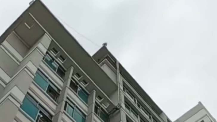 ডিভোর্সের খবর পেয়ে ভবনের ছাদে স্বামীর আত্মহত্যার প্রস্তুতি, অতঃপর...