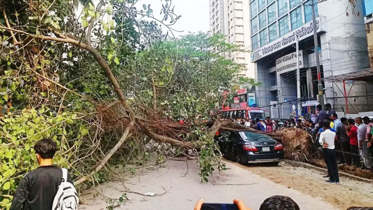 মহাখালীতে চলন্ত প্রাইভেটকারের উপর ভেঙে পড়ল গাছ