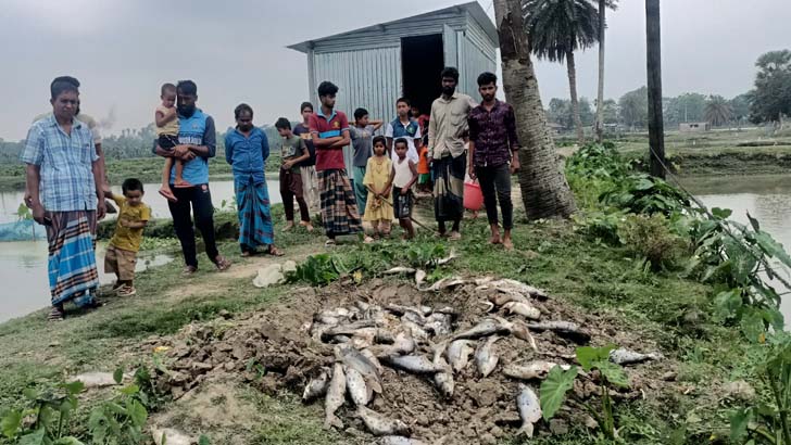 পল্লী বিদ্যুতের তারে স্বপ্নভঙ্গ সুরুজ মিয়ার