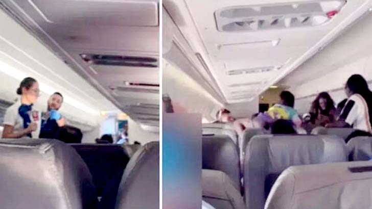 মাঝ আকাশে বিমানে যাত্রীদের মারামারি, অতঃপর... (ভিডিও)