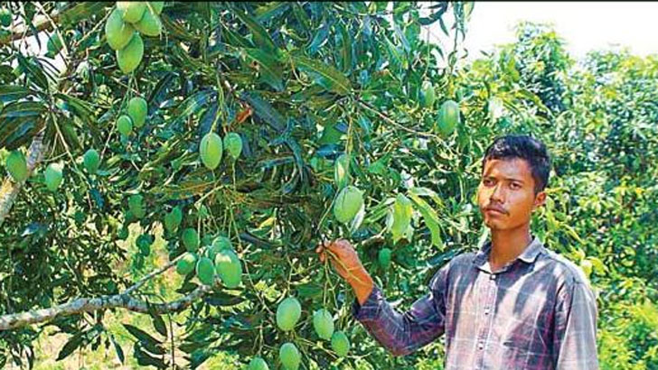 রাঙামাটিতে বাম্পার ফলনে চাষির মুখে হাসি