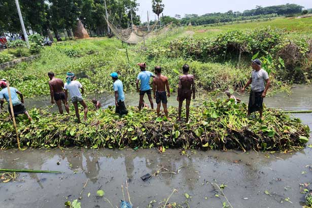 চরফ্যাশনে কচুরিপানা দিয়ে কৃষিশস্য উৎপাদন 