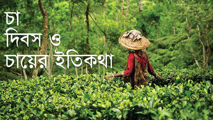 চা দিবস ও চায়ের ইতিকথা