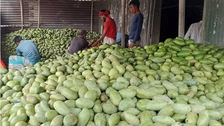 আমের কেজি দুই টাকা