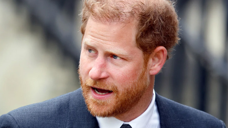 আইনি লড়াইয়ে হার, পুলিশি সুরক্ষার অর্থ পাবেন না হ্যারি