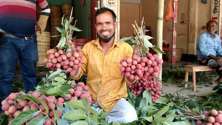 দিনাজপুরে সরবরাহ বৃদ্ধির সঙ্গে বেড়েছে লিচুর দাম 