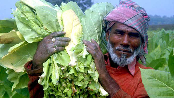 বছরে করোনার চেয়ে ৫ গুণ বেশি মৃত্যু হয় তামাকে!