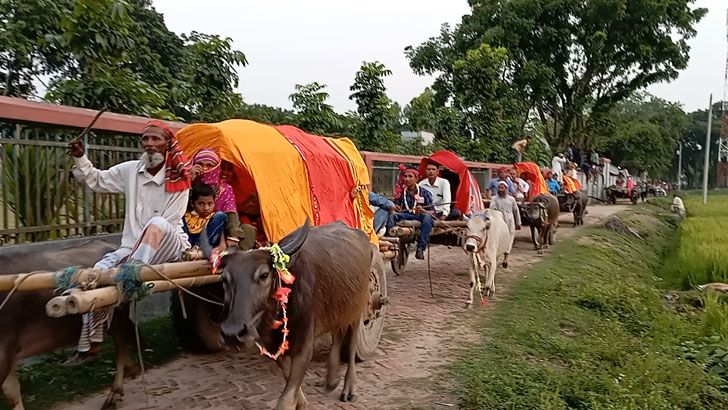 বাবার ইচ্ছাপূরণে গরু ও মহিষের গাড়িতে চড়ে বিয়ে!