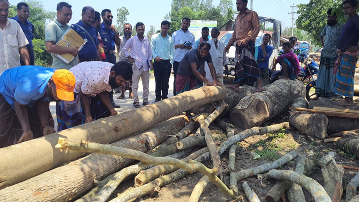 দুই করাত কল মালিককে জরিমানা