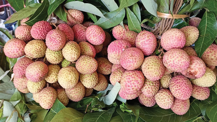 মধুর রসে ভরপুর জ্যৈষ্ঠ