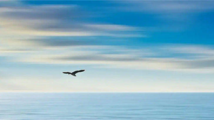 বাড়ি যাবো