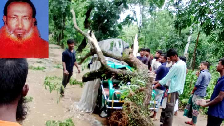 ঝড়ে অটোর উপর গাছ পড়ে যাত্রীর মৃত্যু